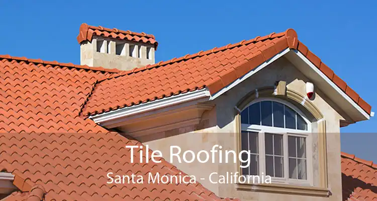 Tile Roofing Santa Monica - California