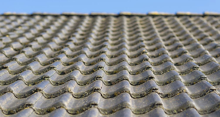 Concrete Ridge Tile Roofing Santa Monica